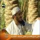 مشاهدة مشاهدة