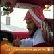 مشاهدة مشاهدة